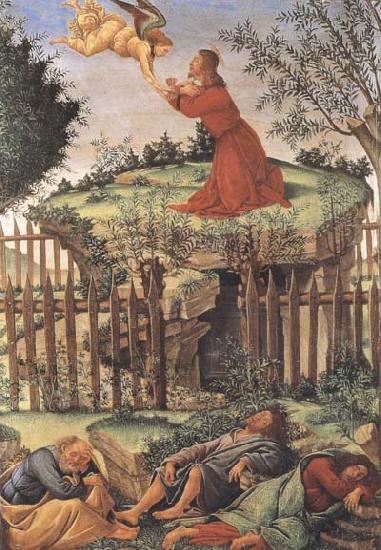 Sandro Botticelli Prayer in the Garden Germany oil painting art